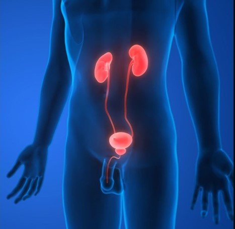 O câncer de próstata pode se espalhar para outros órgãos?